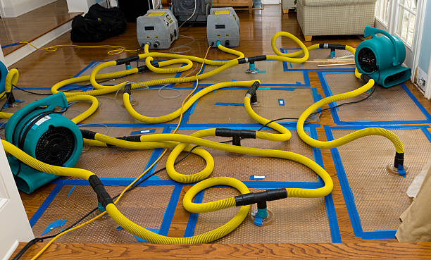 Professional Burst Pipe Water Damage technician working in Clearwater, SC